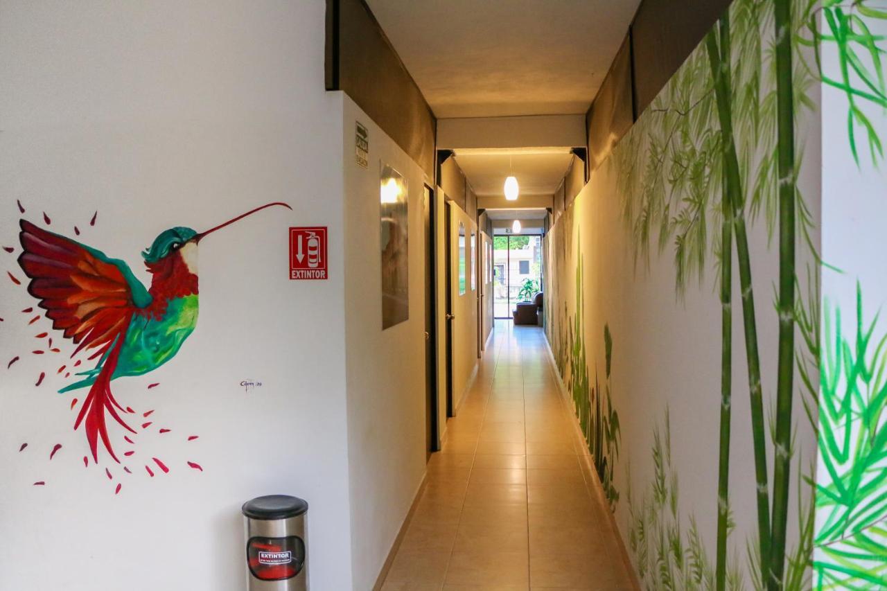 Hostal Gayser Valladolid  Extérieur photo